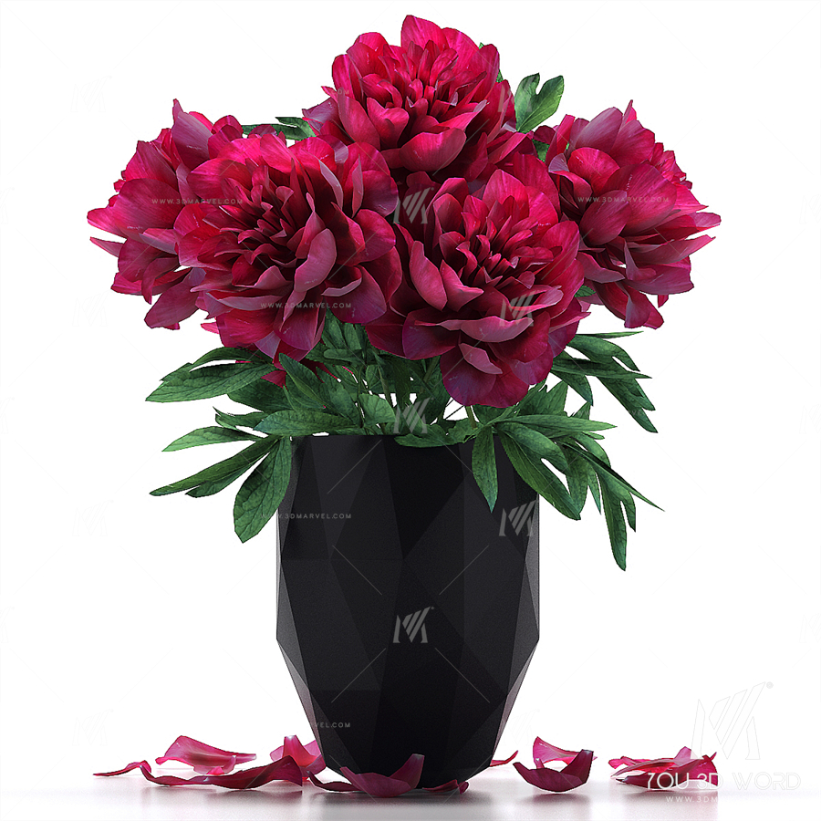 Peonies